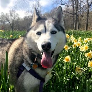 Meet your Posher, Katie